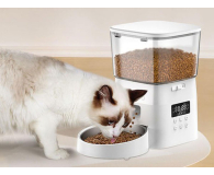 Rojeco INTELIGENTNY DOZOWNIK KARMY 2L PET FEEDER BUTTON VERSION - 1514974 - zdjęcie 3